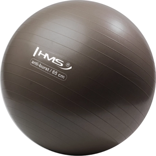 Balón de gimnasia HMS 65 cm bronce