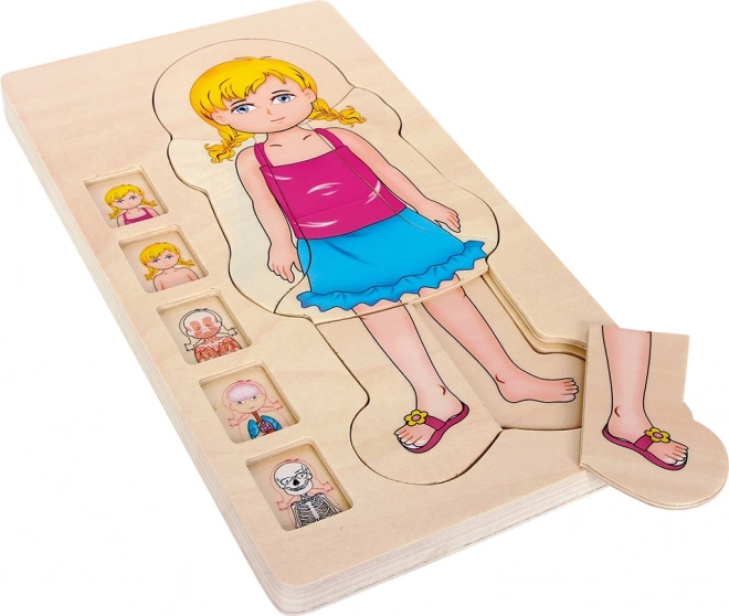 Small foot puzzle anatómico de madera por capas