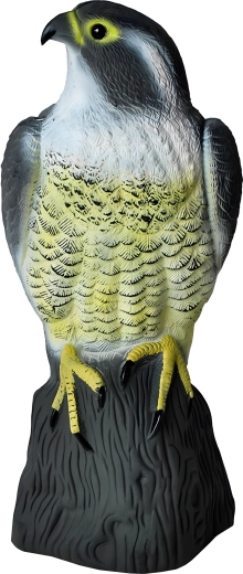 Maqueta realista de halcón – gran espantapájaros para jardines y balcones