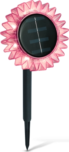Girasol rosa decorativo