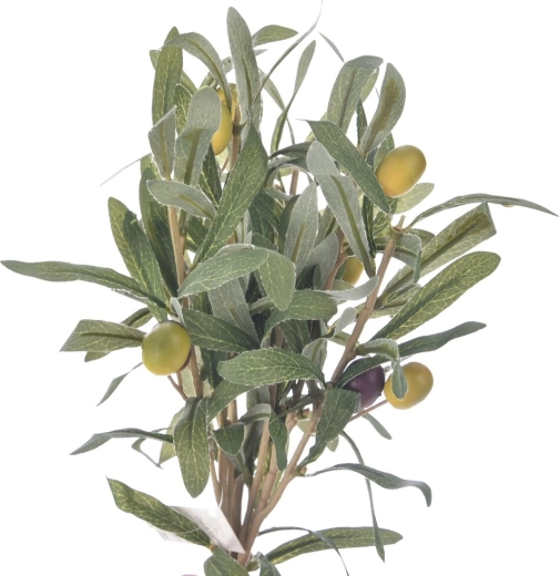 Ramitas de olivo verdes (3 uds)