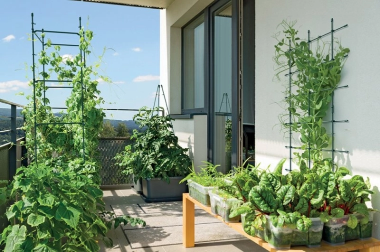 Ideal para jardines y balcones