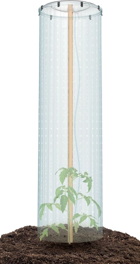 Fijación segura y protección de los plantones