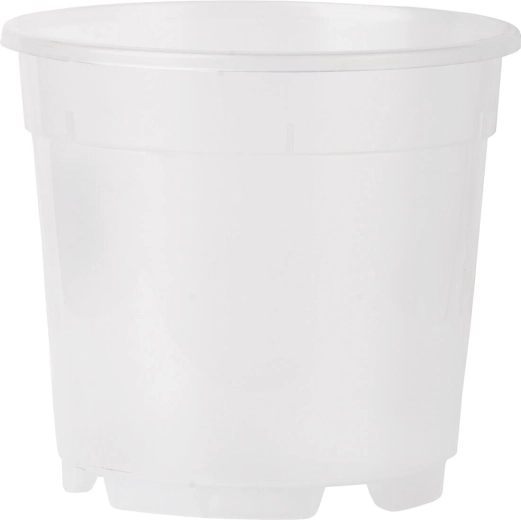Maceta transparente para orquídeas 14 cm, 1,25 l