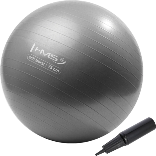 Balón de gimnasia 75 cm gris plateado HMS
