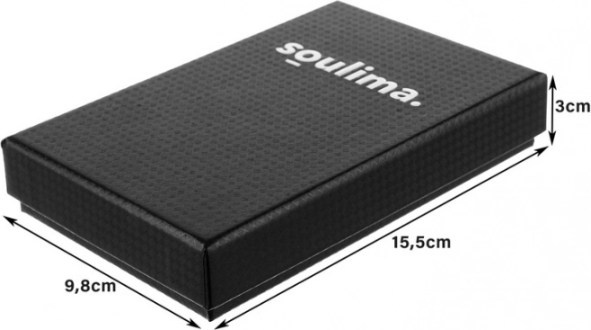 Elegante caja de almacenamiento para un guardado seguro