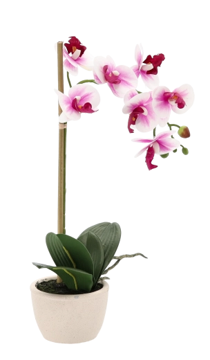 Flores y hojas naturalmente realistas