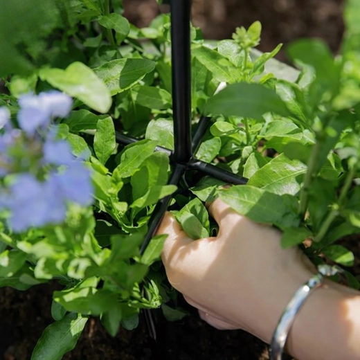 Soporte estable para una floración abundante