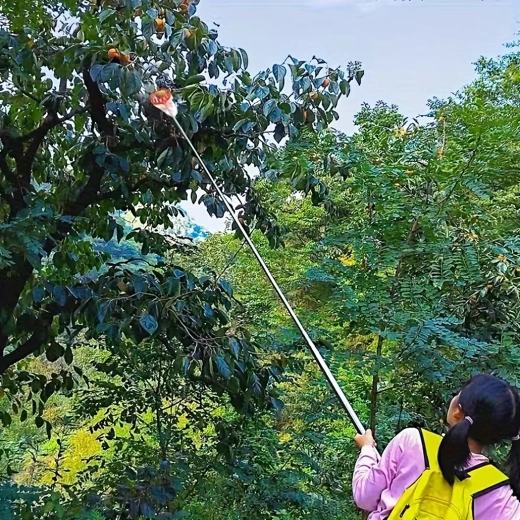 Recolector de fruta con cesta y saco para pértiga telescópica