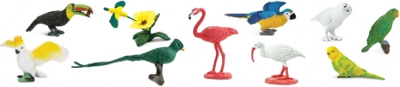 Safari Ltd. TOOBS tubo Aves exóticas