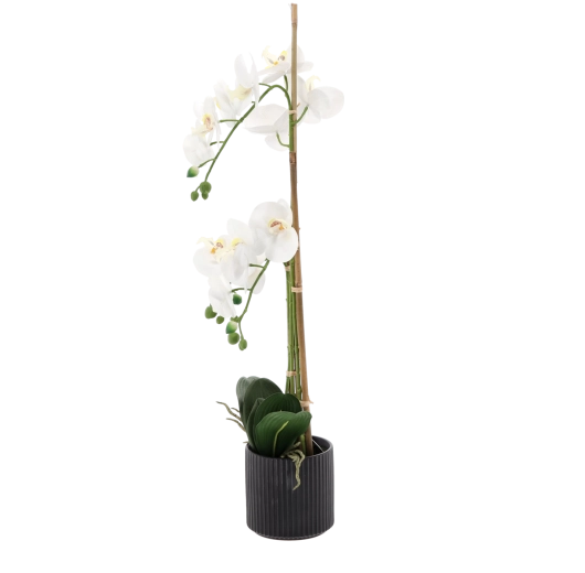 Elegante maceta negra