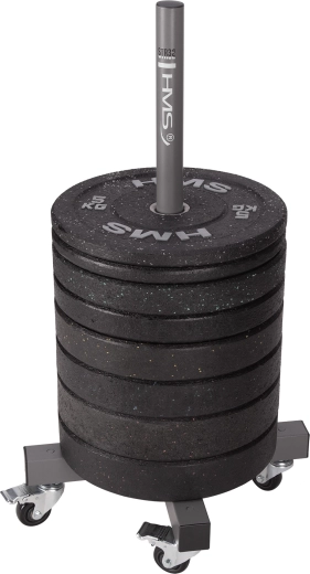 Almacenamiento vertical para discos olímpicos de 50 mm