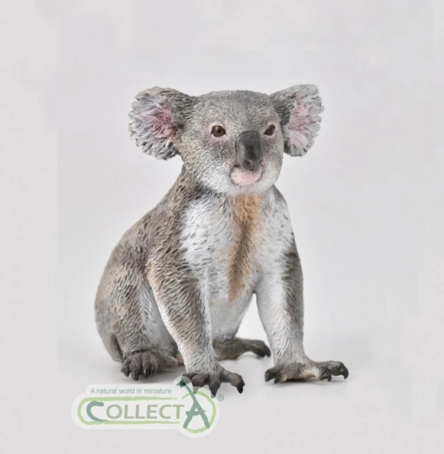 Colección Koala
