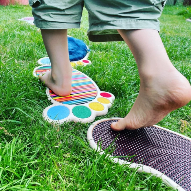 Apoyo al desarrollo sensorial y motor