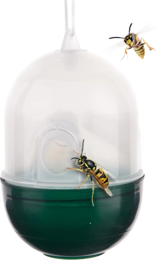 Trampa para avispas de plástico transparente/verde 8 × 11 cm