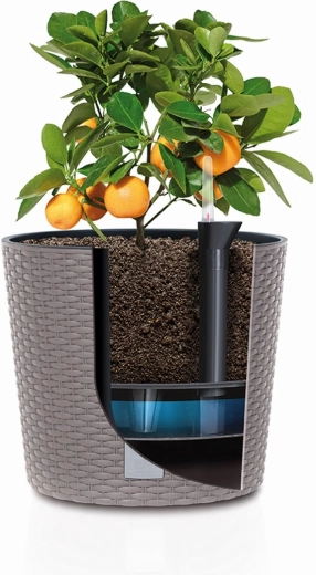 Cultivo cómodo con inserto extraíble