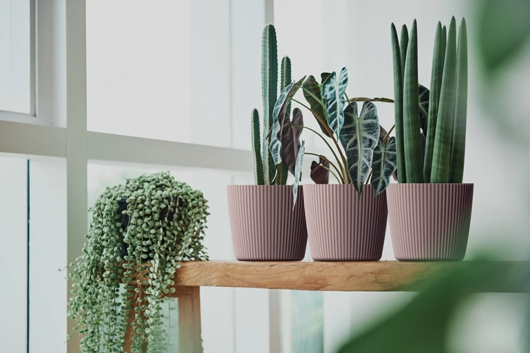Decoración con estilo para el hogar y el balcón