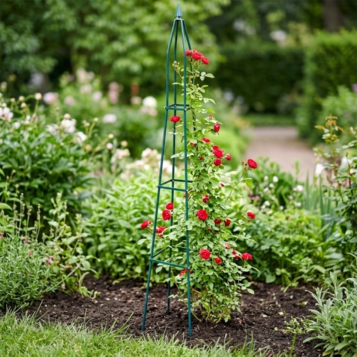 Soporte firme para plantas trepadoras