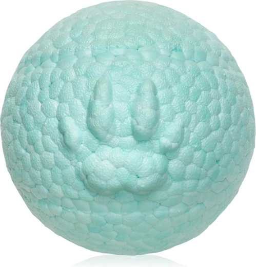 Explorer Dog AirBall pelota turquesa para perros 8 cm