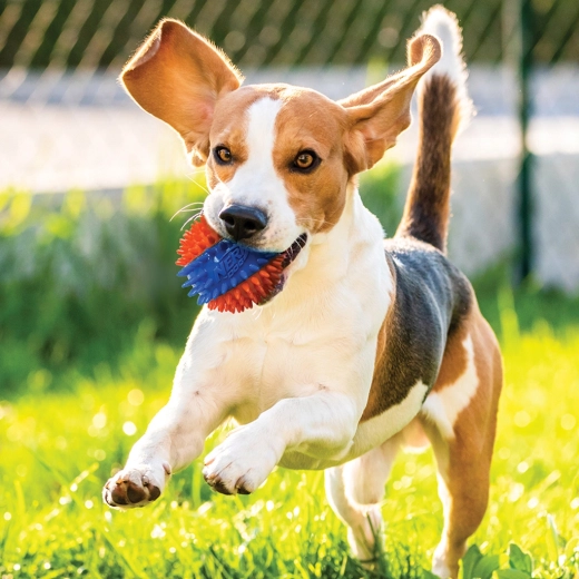 Pelota bien visible para cobro en exteriores