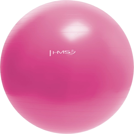 Balón de gimnasia HMS 55 cm rosa