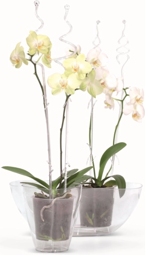 Ideal para el cultivo de orquídeas