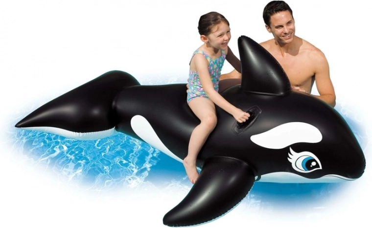 Una gran orca para disfrutar del agua en verano