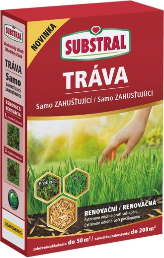Mezcla de césped de renovación autodepilante EVERGREEN 1 kg