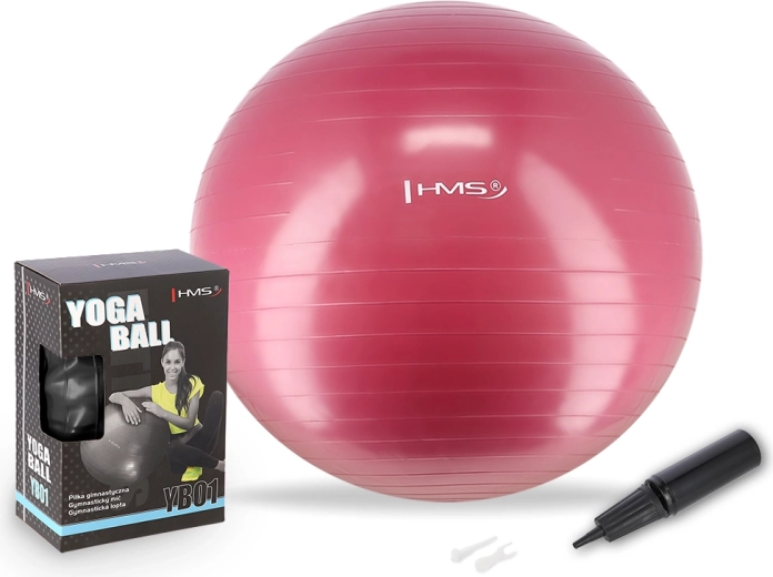 Balón de gimnasia 65 cm HMS YB01N color ciruela