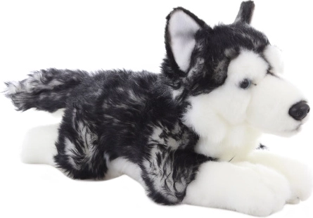 Husky de peluche tumbado 35 cm