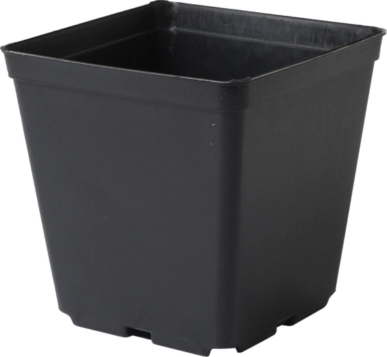 Maceta cuadrada aligerada 9 × 9 × 10 cm, negra (10 uds)