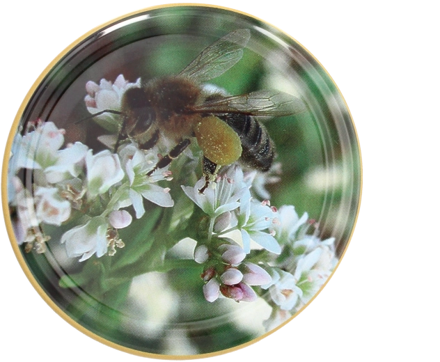 Juego de tapas Twist-off de 82 mm con motivo de abeja – 10 uds.