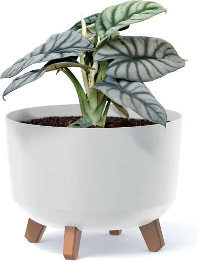 Aspecto moderno que combina con cualquier interior