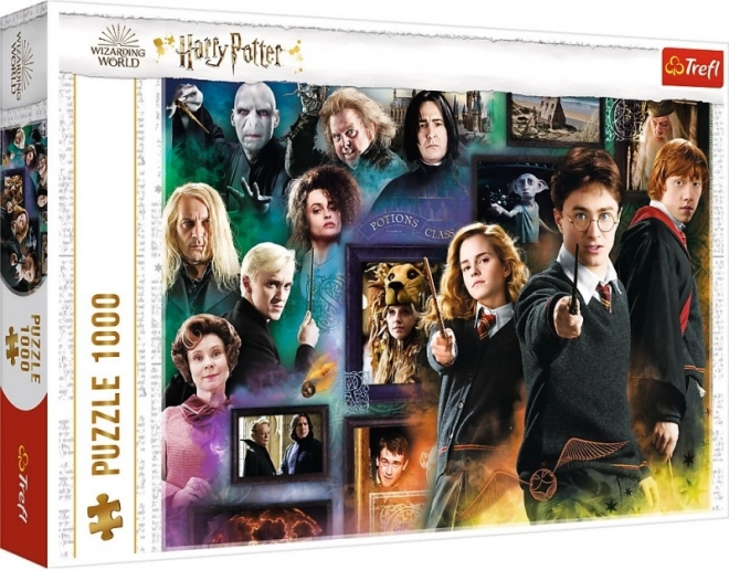 Puzzle HARRY POTTER 1000 piezas – mundo mágico