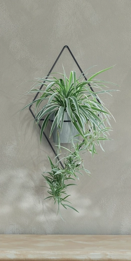 Apto para pared para una organización clara del verde