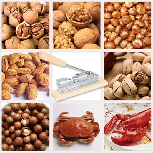 Universal para varios tipos de frutos secos y marisco