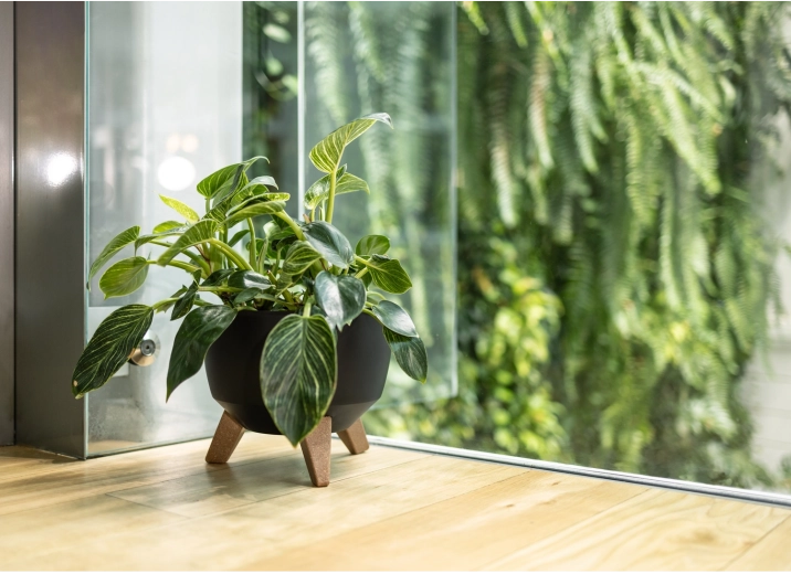 Patas estables con decoración efecto madera