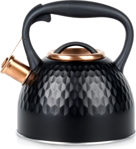 Hervidor de acero inoxidable con silbato Vilde negro 2,5 l