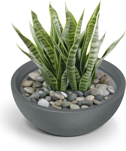 Complemento elegante para tus plantas