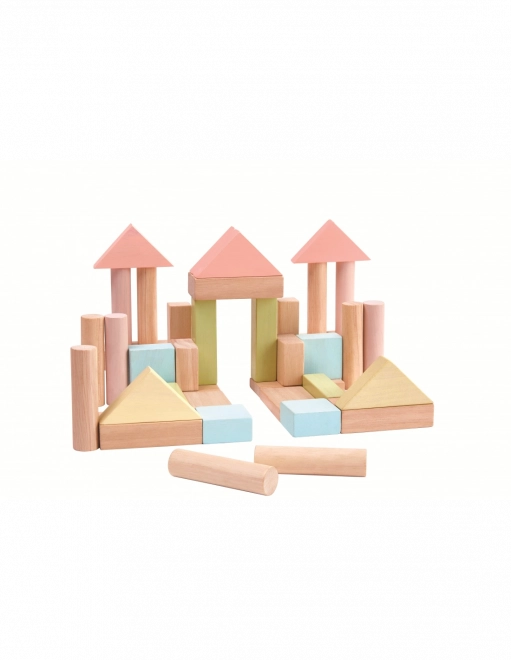 PlanToys bloques de construcción 40 uds.