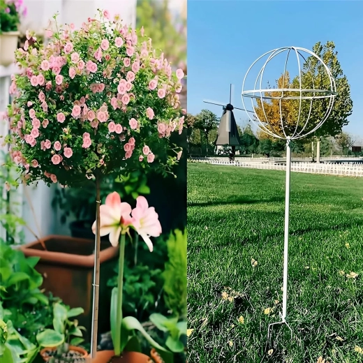 Soporte estable para un crecimiento sano y vertical