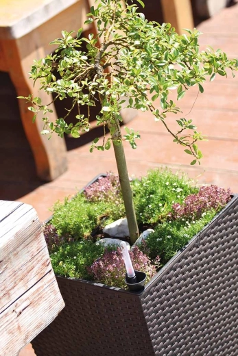 Práctico inserto interior para una plantación rápida