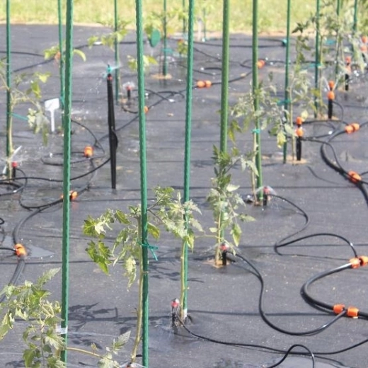 Instalación sencilla y distribución limpia