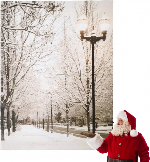 Cuadro luminoso navideño 16 LED 40 × 30 cm