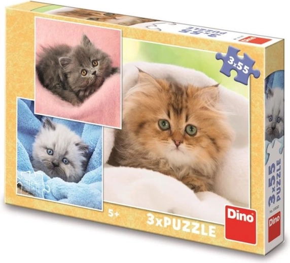 Puzles infantiles: adorables gatitos 3×55 piezas