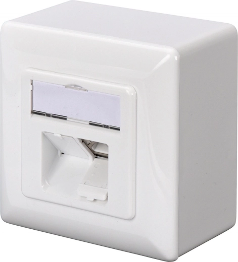 Toma de red de pared CAT 6A 2x RJ45, apantallada