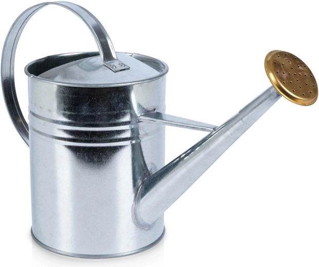 Regadera metálica para riego 1,9 l