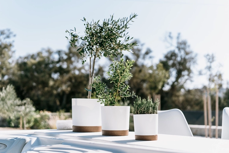 Tamaño compacto para plantas pequeñas