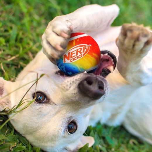 Pelotas duraderas con alta visibilidad