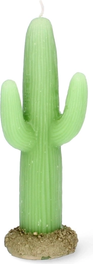 Aspecto realista del cactus